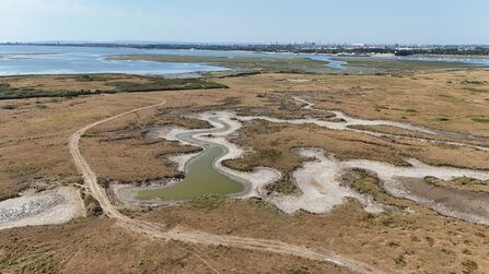 a drone shot showing a dry landscape impacted by drought. in the background is the cityscape of Portsmouth 