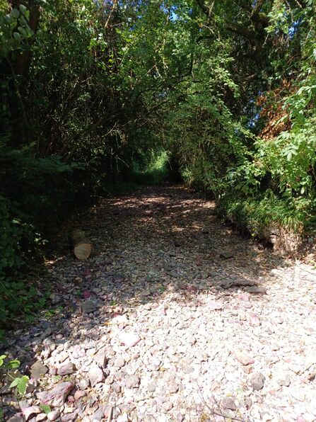 A chalk stream entirely dried up showing the chalk bed exposed to the air 