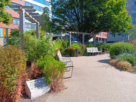 A green space at Queen Alexandra Hospital 
