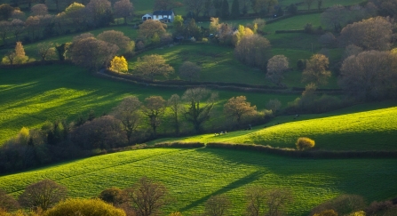 Farmed landscape