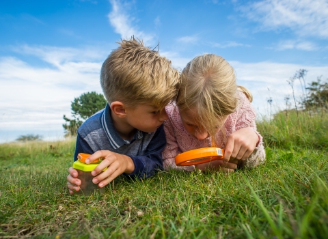 Children in nature © Matthew Roberts