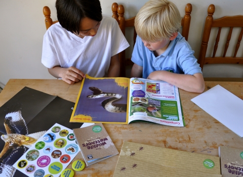 Wildlife Watch resources © Emma Bradshaw