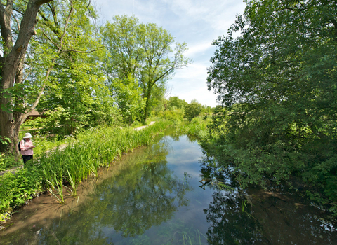 Walking the Itchen at Winnall Moors by Steve Page