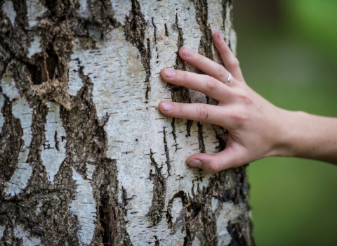 Touching a tree © Matthew Roberts