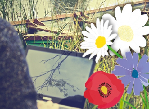 using a laptop in nature