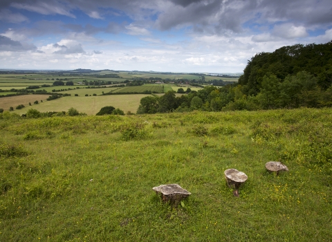 Broughton Down Nature Reserve © Mike Read