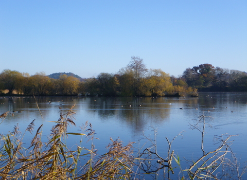 Blashford Lakes nature reserve