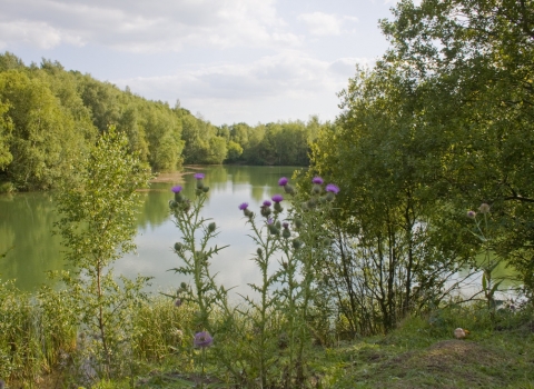 Swanwick Lake, by John Windust