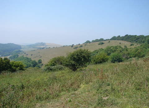 Knighton Down