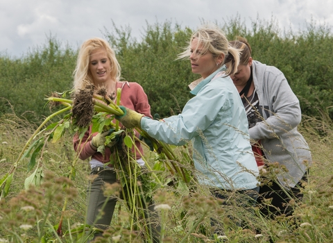 The Southern Co-operative volunteering day