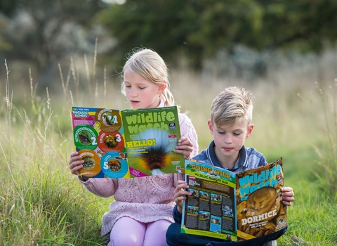 Children reading Wildlife Watch magazine © Matthew Roberts