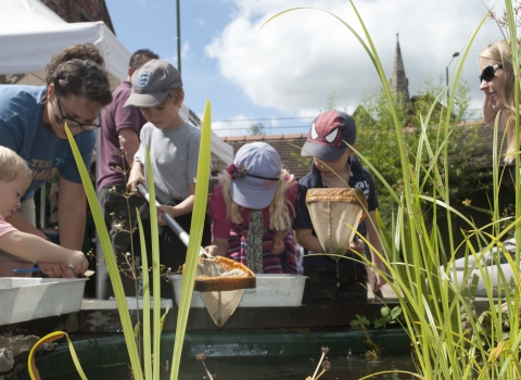 Pond dipping © Amy Lewis