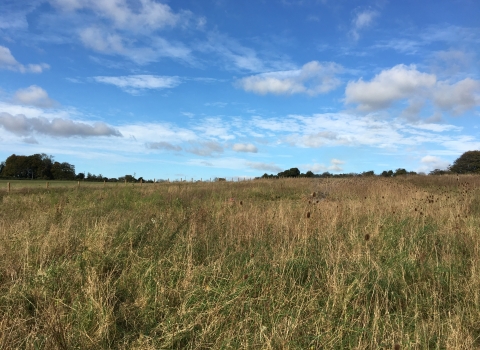 Barton Meadows nature reserve