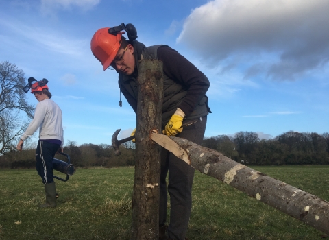 Winchester college volunteers cutting fencing