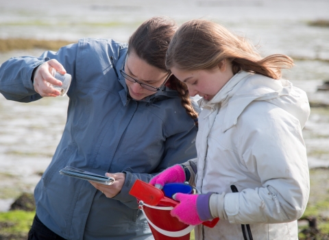 Identifying shoreline species at Milton Locks nature reserve