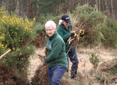 Volunteers at Bramshot Heath