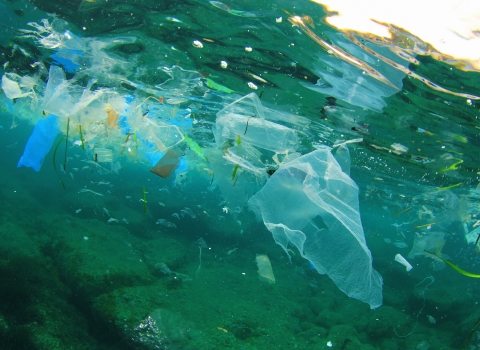 Plastic litter in our oceans