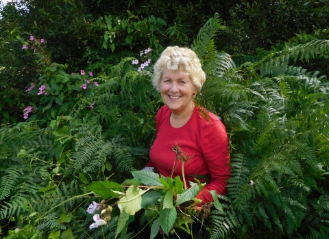 Patsy Baverstock pulling Himalayan balsam