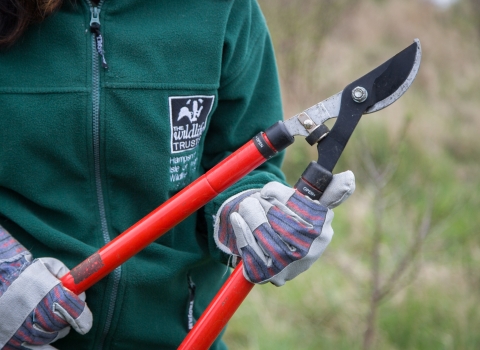 Conservation volunteer with loppers