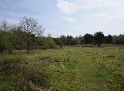 Headley Gravel Pit by Jonathan Oakley