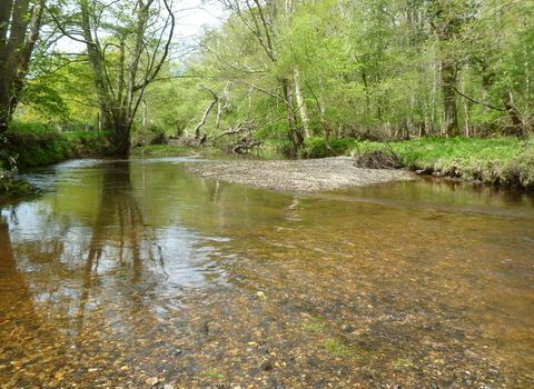 Roydon Woods, Stile Pool