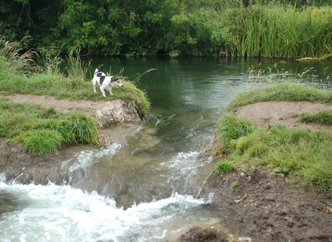 Flooded path at Hockley on the River Itchen