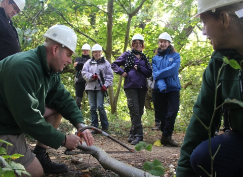 Forest School training