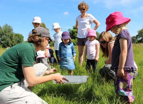 Wildlife Tots at St Cross Meadow