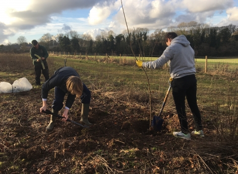 Winchester College volunteers scallop planting at Barton Meadows nature reserve
