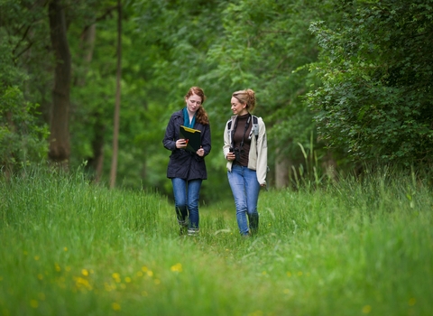 Wildlife walk 