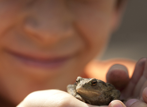 Child holding a frog © Amy Lewis