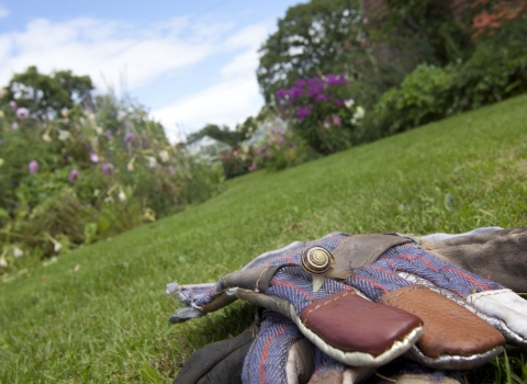 Wildlife gardening © Tom Marshall