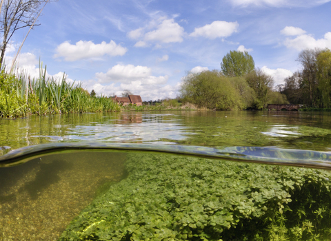 Split level view of the River Itchen, Itchen Stoke Mill