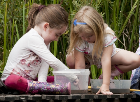 Children pond dipping © Ross Hoddinott/2020VISION