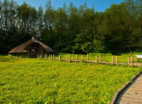 Testwood Lakes roundhouse in summer