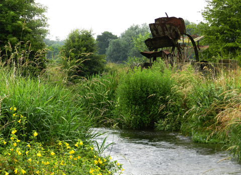 St Clair's Meadow 