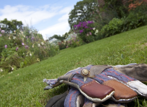 Wildlife gardening © Tom Marshall