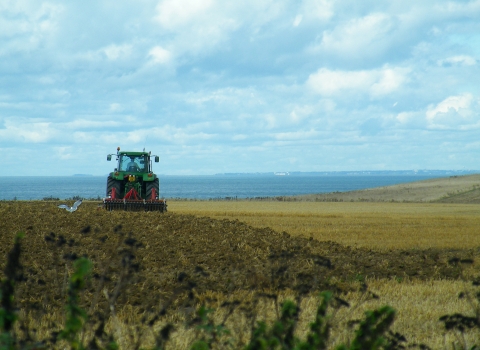 Farming on the Isle of Wight