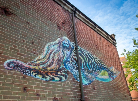 Cuttlefish mural in Portsmouth