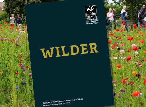 Wilder Hampshire & Isle of Wight discussion paper, Autumn 2018