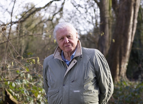 Sir David Attenborough