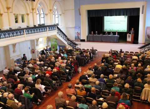 AGM