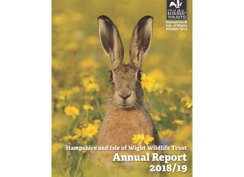 Annual report 2018-19