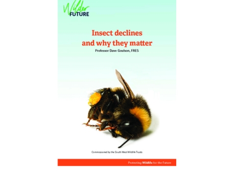 Action for insects front cover