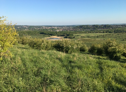 Deacon Hill by Carmen Green (1)