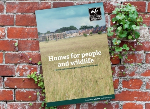 Homes for people and wildlife download