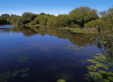 Newchurch Moors nature reserve Hampshire & Isle of Wight Wildlife Trust © Ian Pratt.