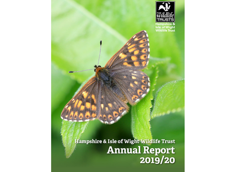 Annual Report 2019 2020