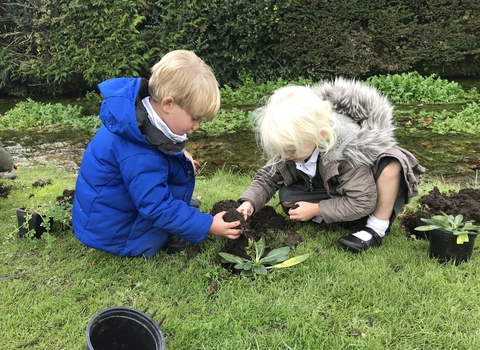 Cheriton Primary School planting wildflowers by the Cheriton Stream © Andrew Goldsworthy