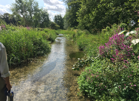 Pillhill Brook at Little Ann © Wild Trout Trust